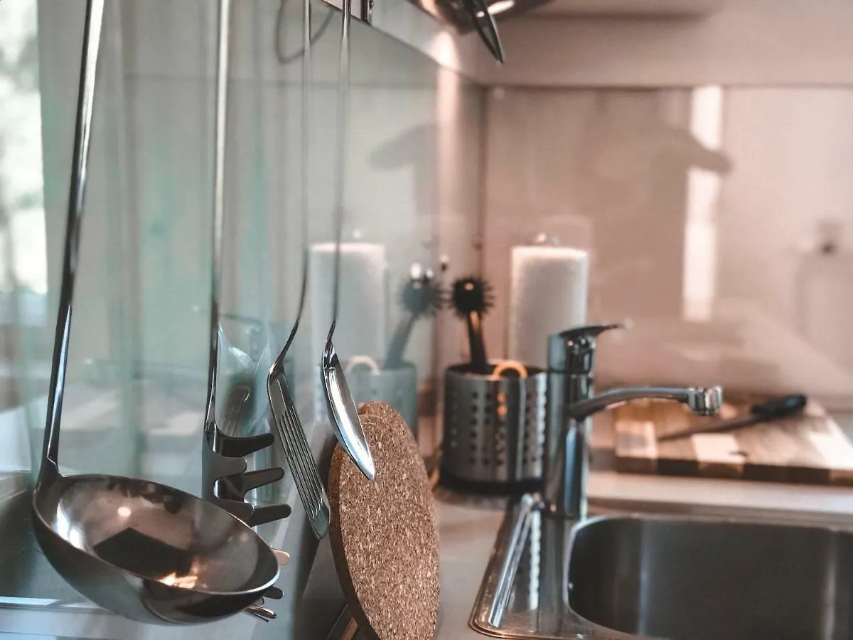 Luxury Apartments Only For Business Travel Salzburg